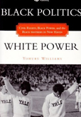 Black Politics White Power